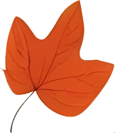 rendy Foliage Design, Leaf PNG Download, Tropical different type exotic leaves set_21.webp